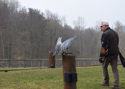 Stammeswochenende Dausfeld 2019 - Bild 50