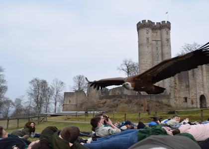 Stammeswochenende Dausfeld 2019 - Bild 54
