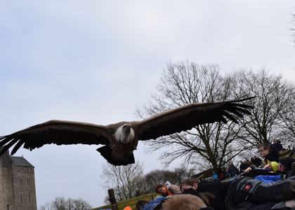 Stammeswochenende Dausfeld 2019 - Bild 55