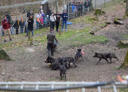 Stammeswochenende Dausfeld 2019 - Bild 57