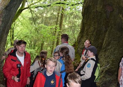Stammeswanderung Gerolsteiner Felsenpfad 2019 - Bild 16