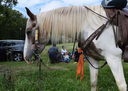 Klausenwallfahrt 2019 - Bild 41