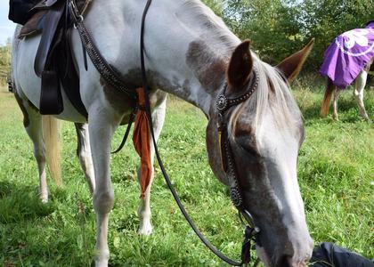 Klausenwallfahrt 2019 - Bild 42