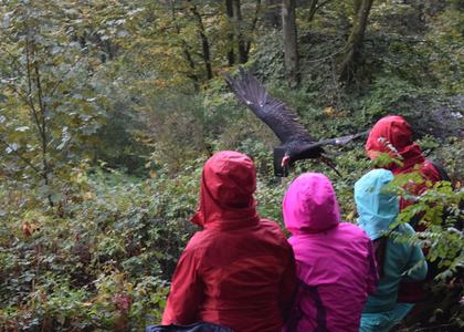 Herbstlager Saarburg 2019 - Bild 13