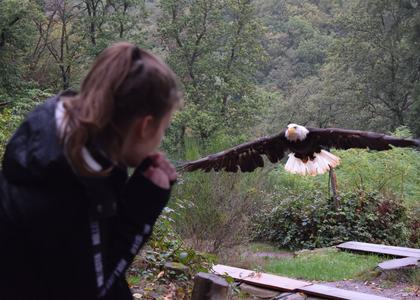 Herbstlager Saarburg 2019 - Bild 17