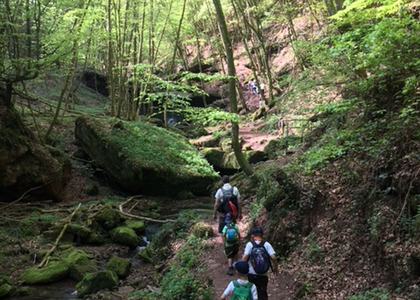 Stammeswanderung Butzerbachtal 2018 - Bild 7