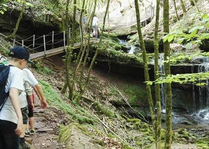 Stammeswanderung Butzerbachtal 2018 - Bild 21