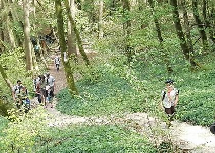 Stammeswanderung Butzerbachtal 2018 - Bild 22