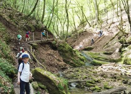 Stammeswanderung Butzerbachtal 2018 - Bild 25