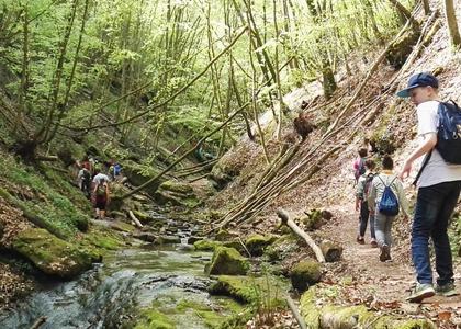 Stammeswanderung Butzerbachtal 2018 - Bild 33