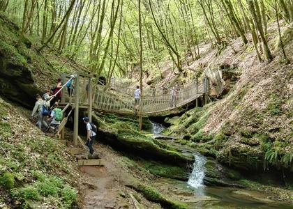 Stammeswanderung Butzerbachtal 2018 - Bild 36