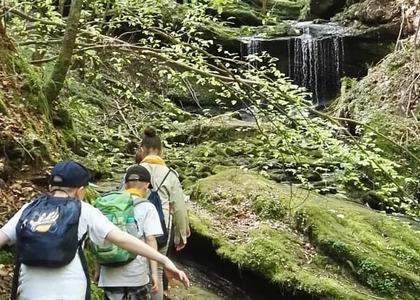 Stammeswanderung Butzerbachtal 2018 - Bild 37