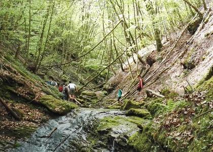 Stammeswanderung Butzerbachtal 2018 - Bild 38