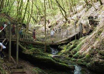 Stammeswanderung Butzerbachtal 2018 - Bild 40