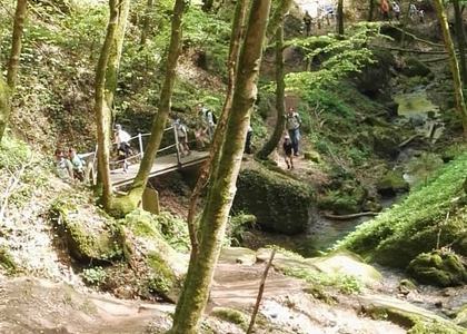 Stammeswanderung Butzerbachtal 2018 - Bild 44