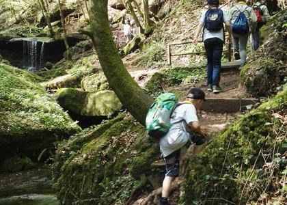 Stammeswanderung Butzerbachtal 2018 - Bild 49