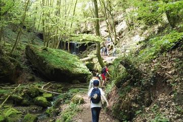 Stammeswanderung Butzerbachtal 2018 - Vorschaubild