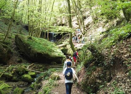 Stammeswanderung Butzerbachtal 2018 - Bild 50