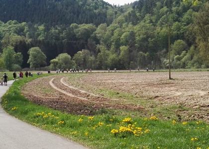 Stammeswanderung Butzerbachtal 2018 - Bild 51