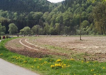 Stammeswanderung Butzerbachtal 2018 - Bild 53